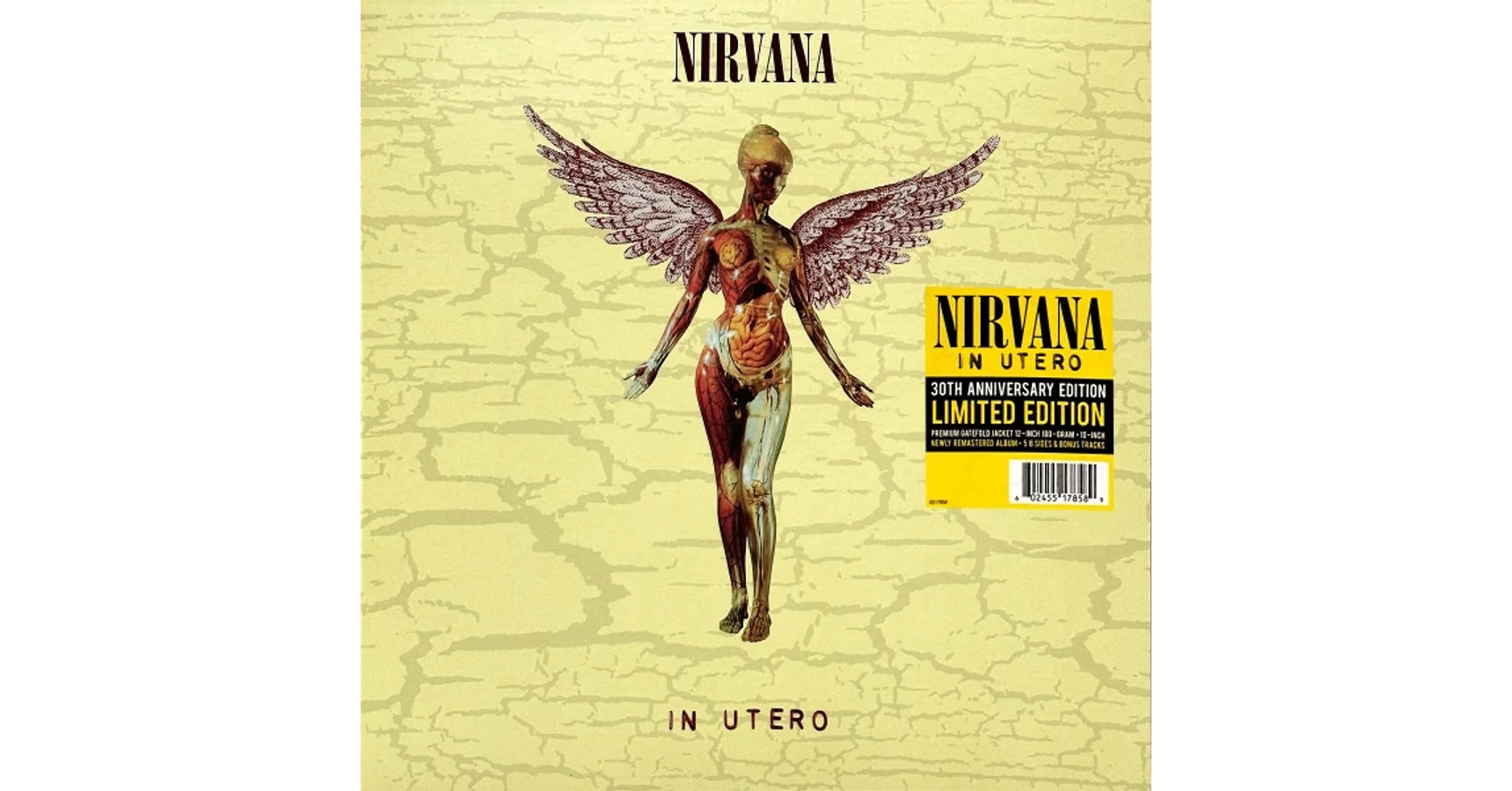Felvarró - Nirvana III Felvarró - Nirvana III
