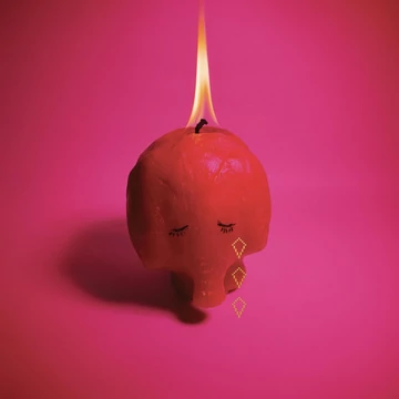 Arcade Fire – Pink Elephant (LP)