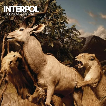 Interpol – Our Love To Admire (2LP, Re)