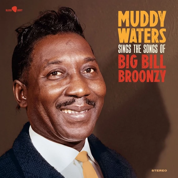 Muddy Waters – Sings The Songs Of Big Bill Broonzy (LP)