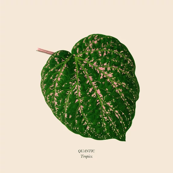 Quantic – Tropics (12'' EP, Peach Marble vinyl)