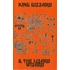 King Gizzard &amp; The Lizard Wizard – Demos Vol. 1. + Vol. 2. (2MC, Re)